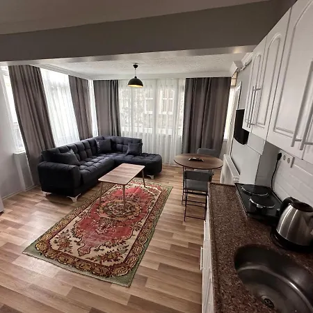 Modern Close To Blue Mosque And Hagia Sophia Old Appartement *