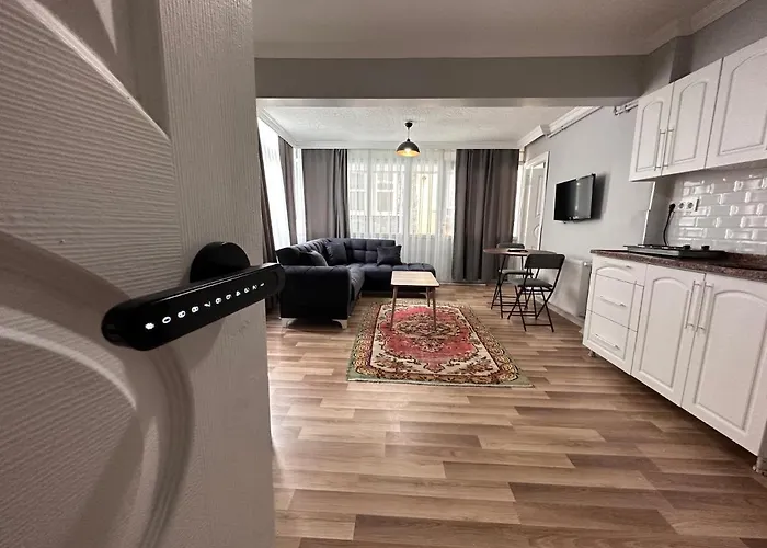 Modern Close To Blue Mosque And Hagia Sophia Old Apartment *