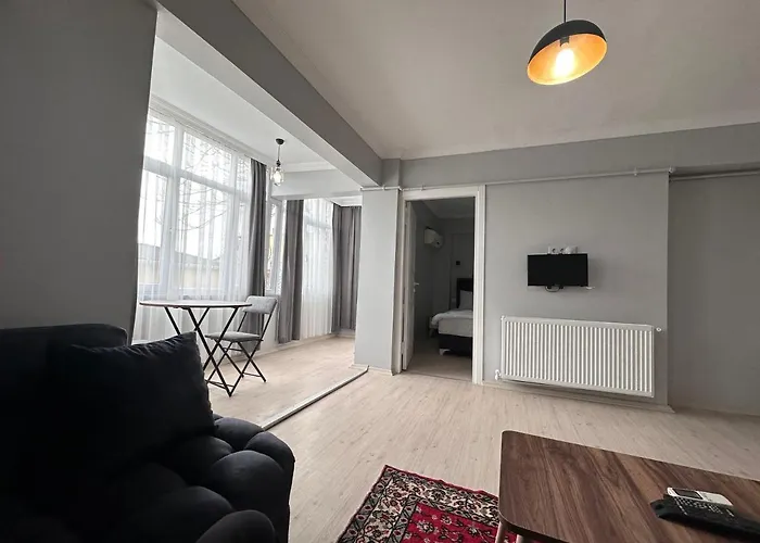 Modern Close To Blue Mosque And Hagia Sophia Old