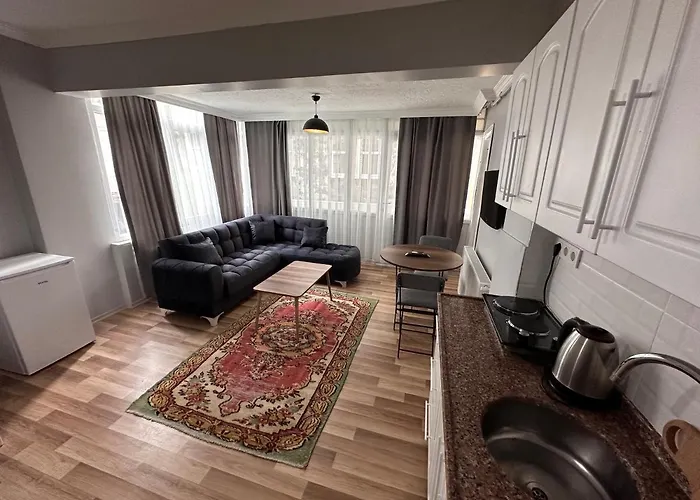 Modern Close To Blue Mosque And Hagia Sophia Old Apartment *