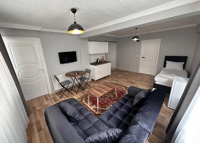 Modern Close To Blue Mosque And Hagia Sophia Old * Istanbul