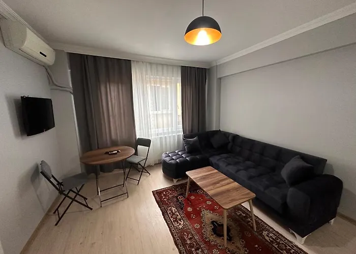 Modern Close To Blue Mosque And Hagia Sophia Old *