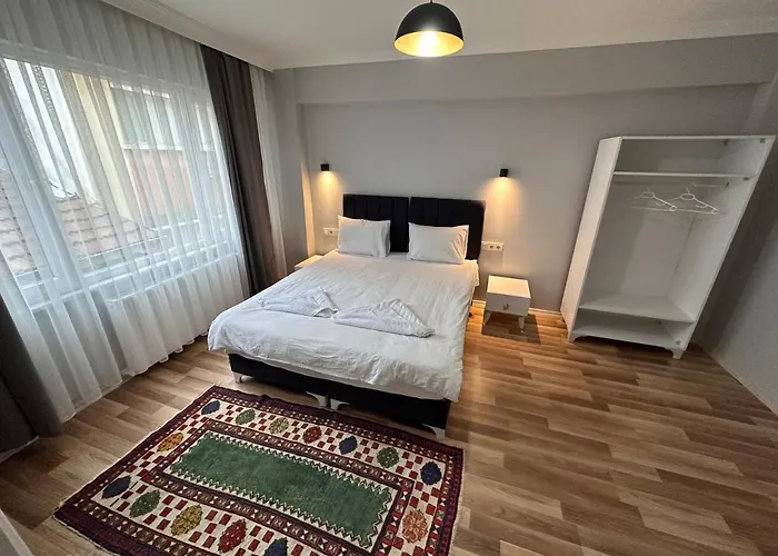 Apartment Modern Close To Blue Mosque And Hagia Sophia Old Istanbul