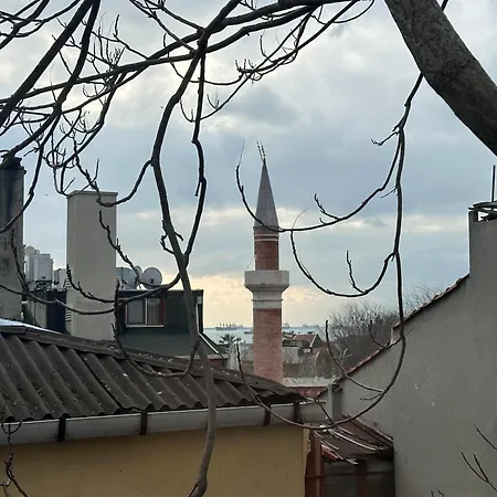 Modern Close To Blue Mosque And Hagia Sophia Old *